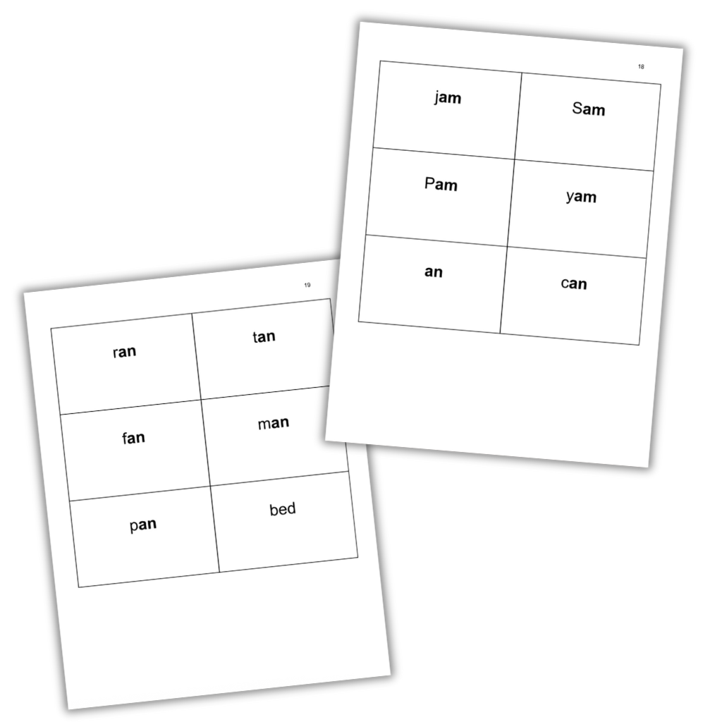 AM and AN CVC word flash cards