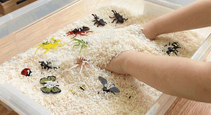 Preschool sensory bin activity with hands finding small plastic insects in rice