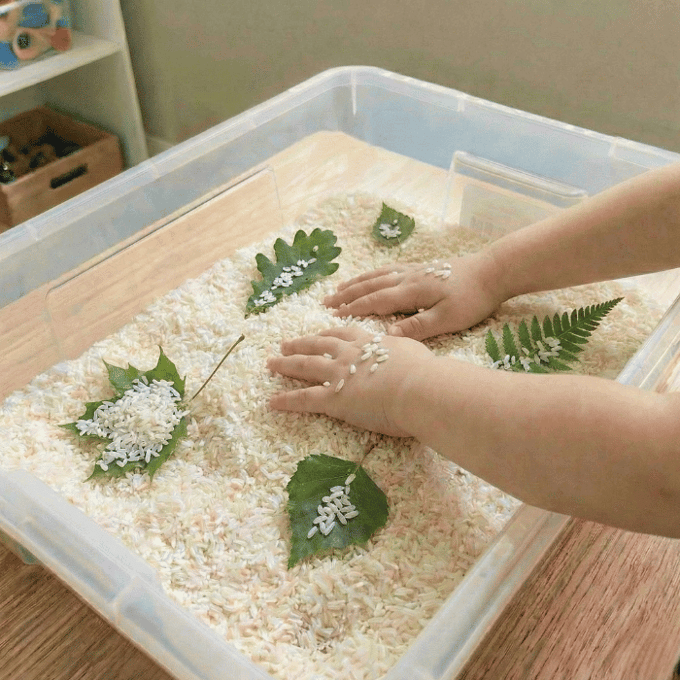 Preschool sensory bin activity with hands finding tree leaves in rice