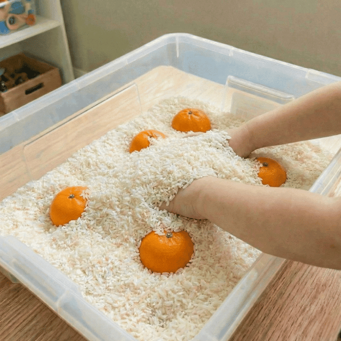 Preschool sensory bin activity with hands finding oranges in rice