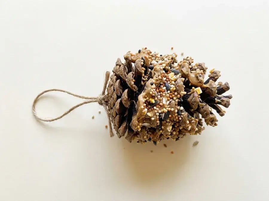 Pinecone bird feeder, an easy January craft for preschoolers ages 3 to 5