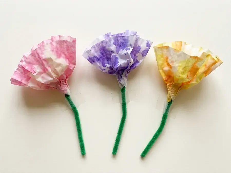 Coffee filter flowers, an easy May craft for preschoolers ages 3 to 5