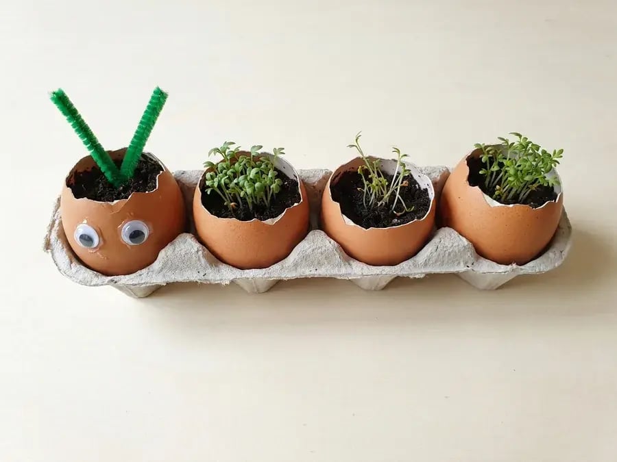 Eggshell caterpillar garden, an easy March craft for preschoolers ages 3 to 5