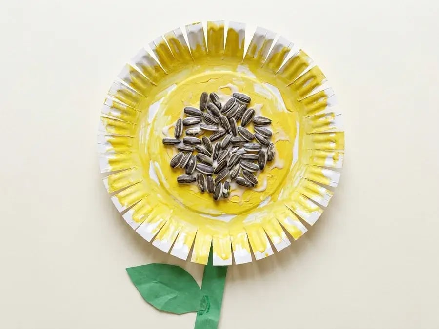 Paper plate sunflower, an easy September craft for preschoolers ages 3 to 5