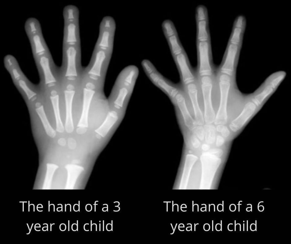 three-year-old vs. six-year-old hand structure